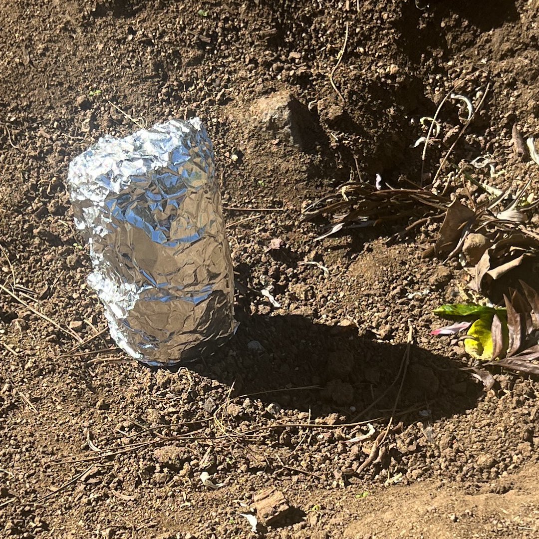 Chipotle tweet media