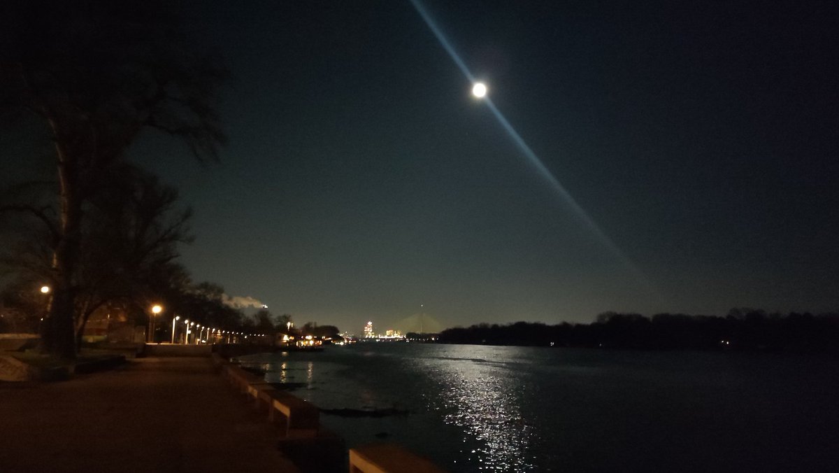 CockVanBlocker's tweet image. stupid walk for stupid mental health ako ga ima posle tri dana citanja cionistickog satanizma i prikljucenija