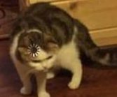 Jamming83's tweet image. 数字は辛いです 🥂