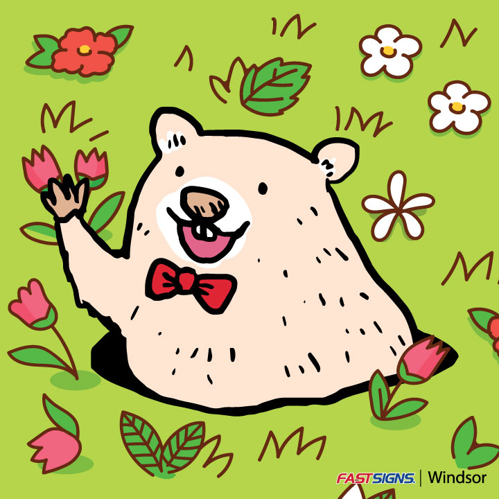 Are you happy with what our furry forecaster predicted?

What do you hope for this year? Are you dreaming of early spring sunshine or cozying up for a lingering winter season? Let us know in the comments below! 👇

#GroundhogDay #EarlySpring #WinterWonder #SpringVsWinter