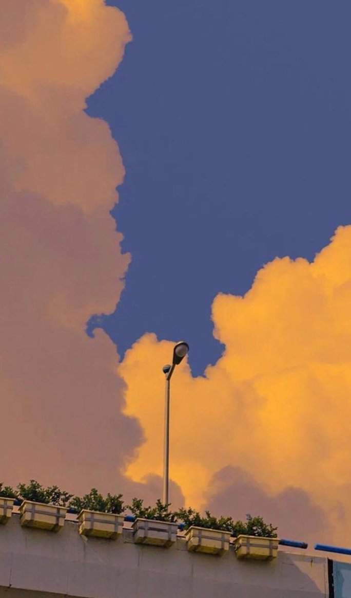 sunjunghan's tweet image. 今日が嬉しい 🌳