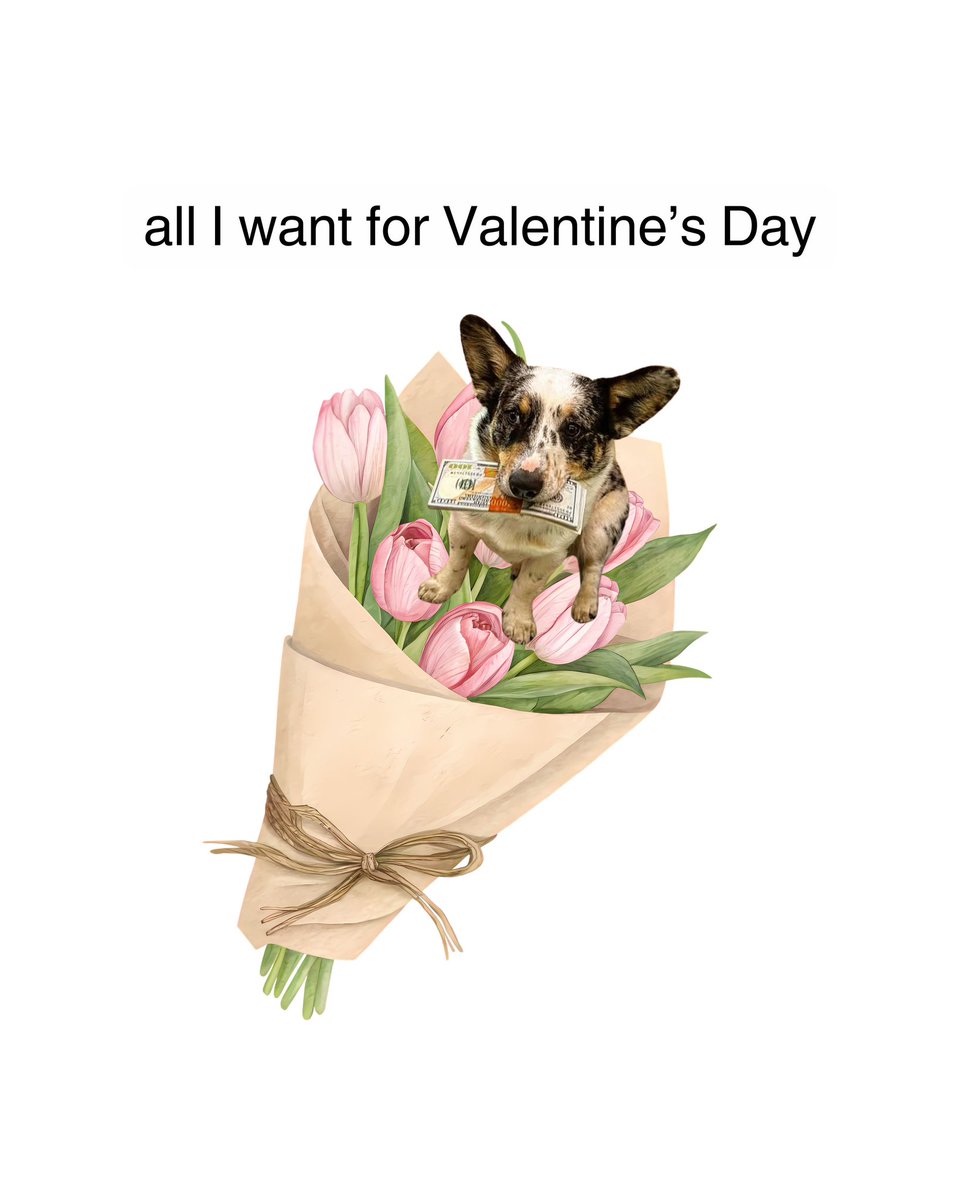 CountryLine tweet media