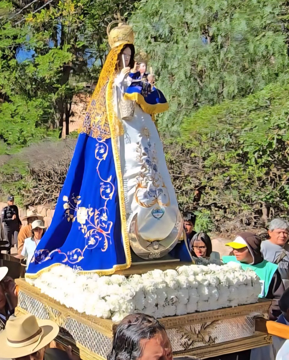 Mario Fiad tweet media