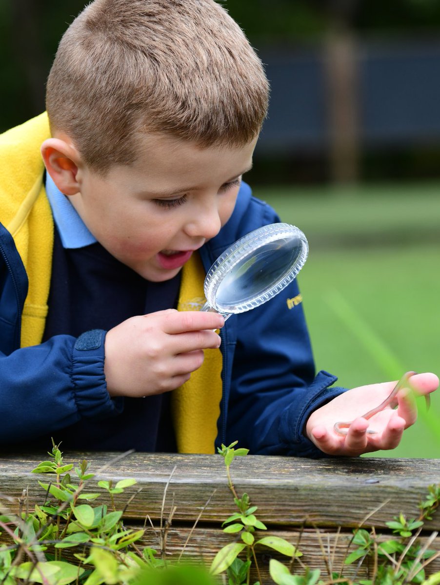 Early Excellence tweet media