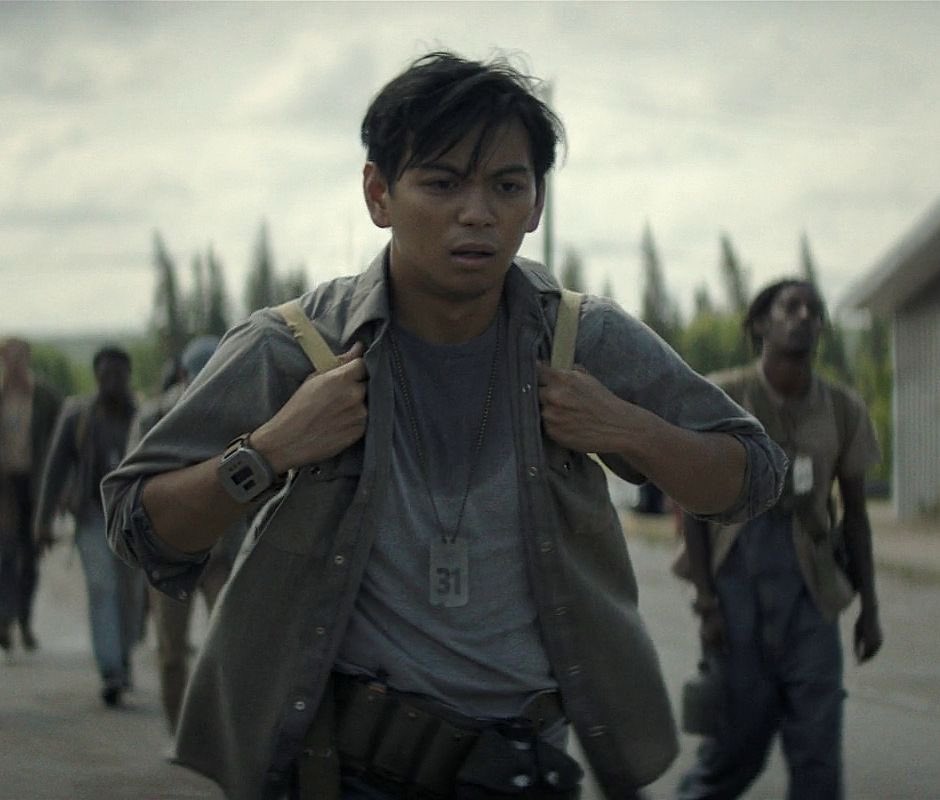 bee 📸 tweet media