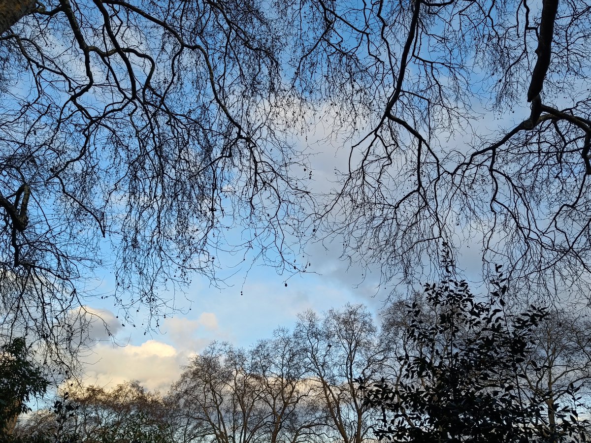 R. Rorýs 𓅪𓄿𓅜 (@hvezda369) on Twitter photo 