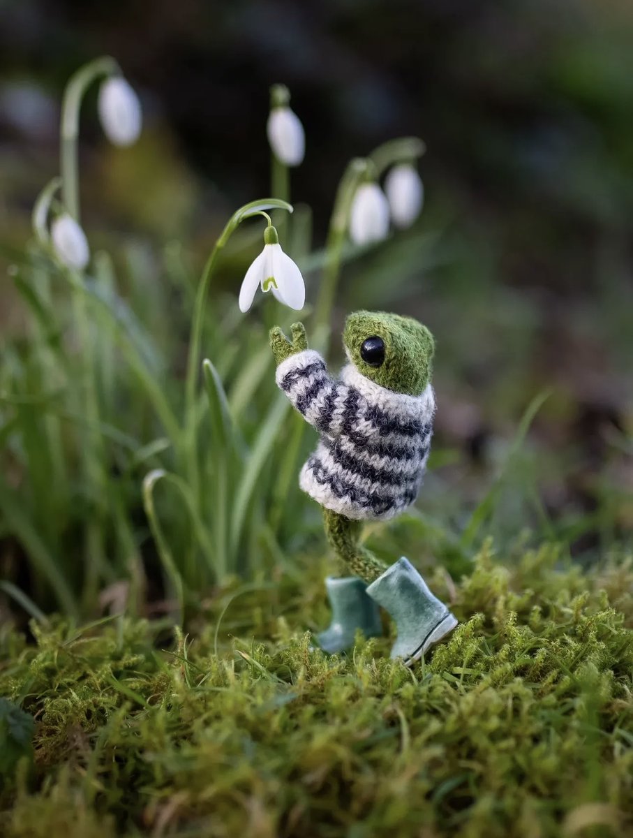 First sign of spring

📷 India Rose Crawford