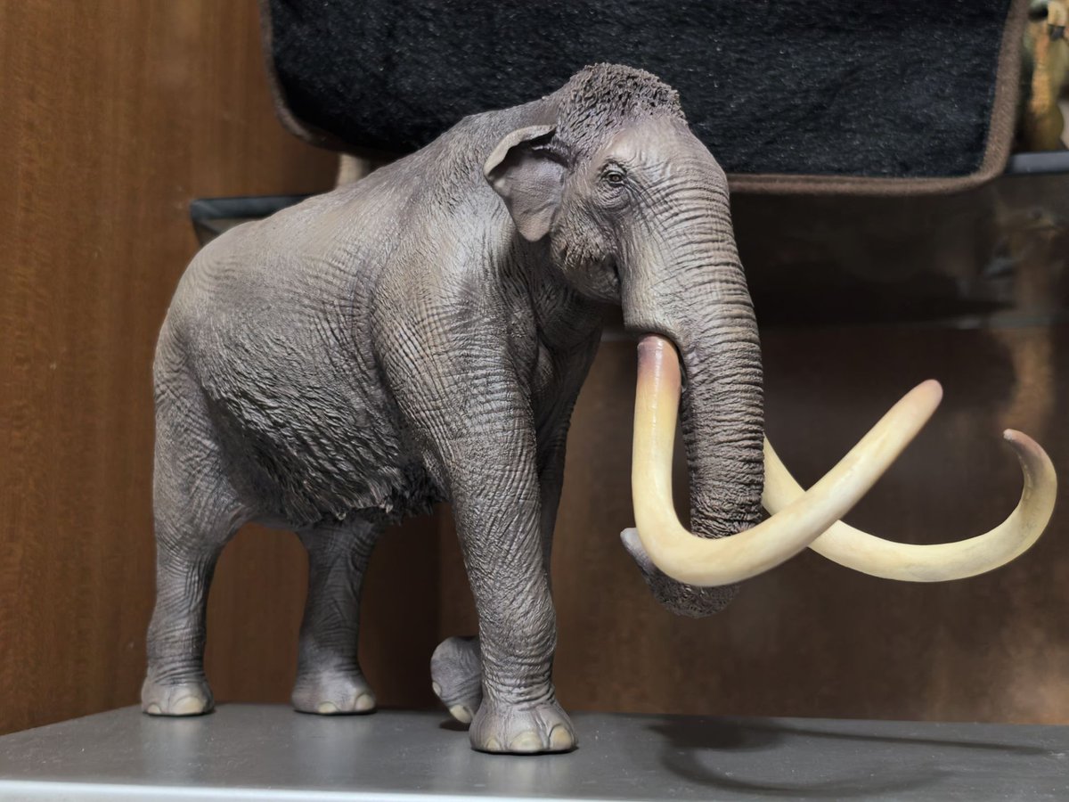 Mammuthus trogontherii
I'd like to try to make as little fur as possible, but considering that it's the ancestor of the wolly mammoth,So I chose to keep the fur on the shoulders and back, top of the head, side of the torso, ankles, and wrists