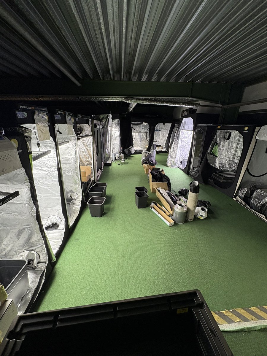 Rathste's tweet image. Ich liebe Progrow in Bochum. Bester Laden, super Auswahl und bei jedem Besuch gibt es gratis Seeds zum Testen - selbst wenn man nur Kleinigkeiten kauft.