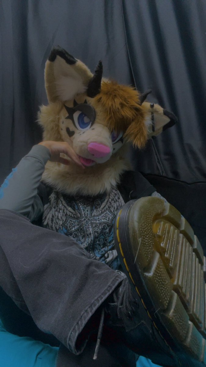 Asterfluffs tweet media