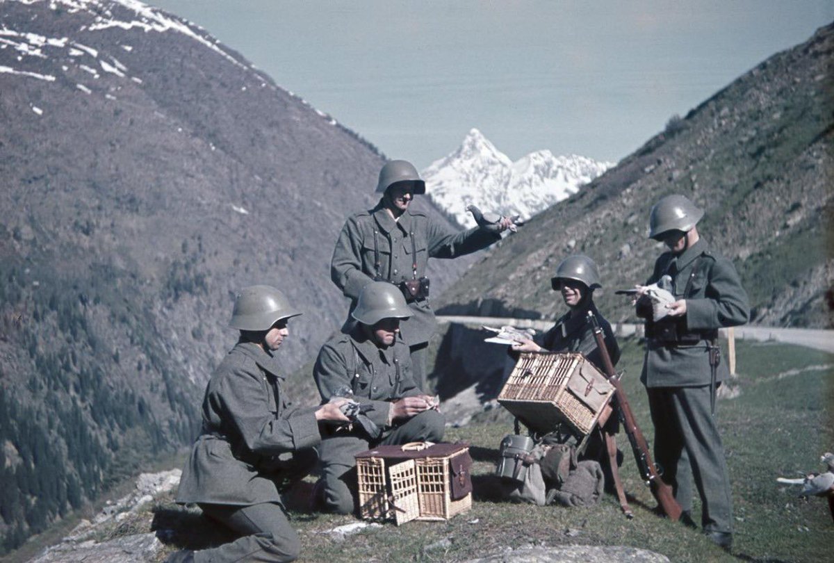 Safar Publishing tweet media