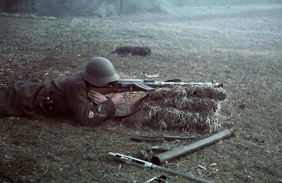 Safar Publishing tweet media