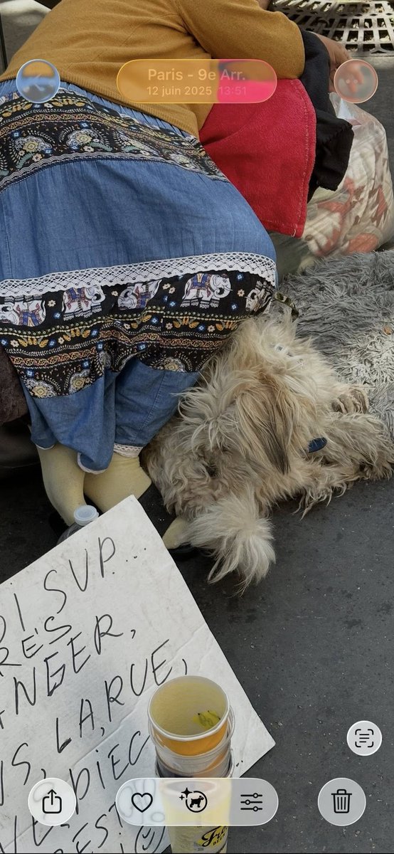 BRINDILLE851's tweet photo. Ziggy.angels Retrouve Chiens/chats Perdus Volés
Malo Regoli
S’il vous plaît, est ce que quelqu’un peut m’aider avec ce chien déjà signalé 3 fois. Je suis prêt à tout pour le sortir de cet enfer. C’est un bichon, très maltraité présent tous les jours boulevard des capucines à Paris 9 devant H&M Home.