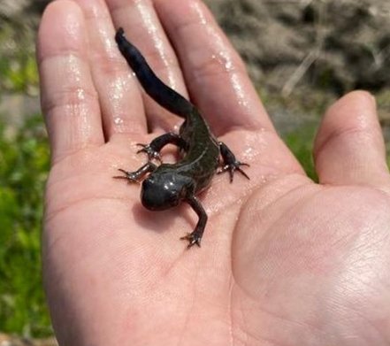 Pathiratic's tweet image. 7歩 🌎