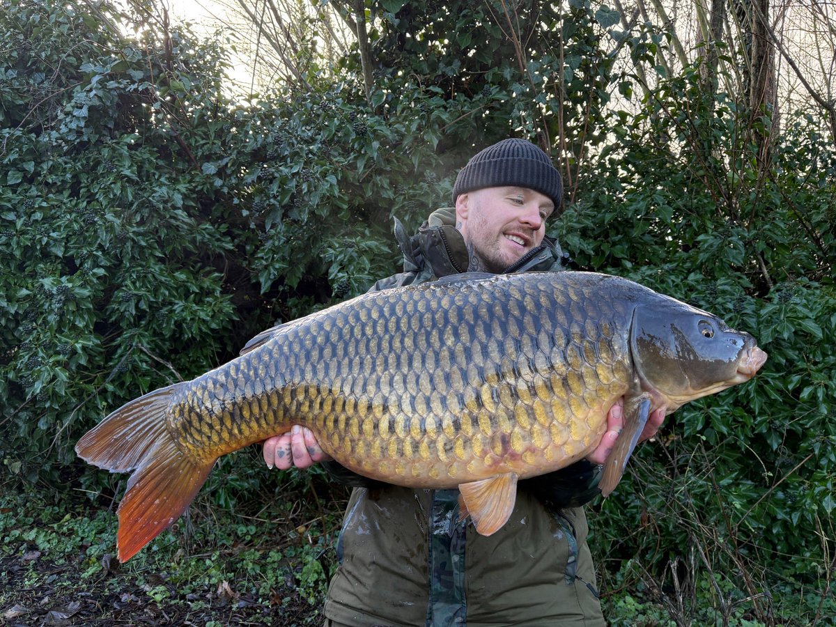 Mainline Baits Official tweet media