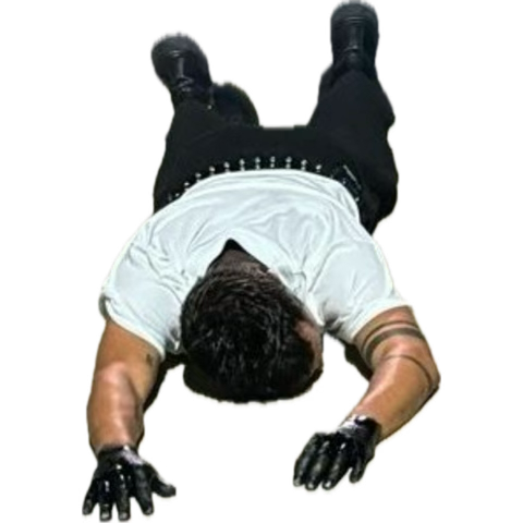 riskofnoreturn's tweet image. joined the harryween queue for a second and..