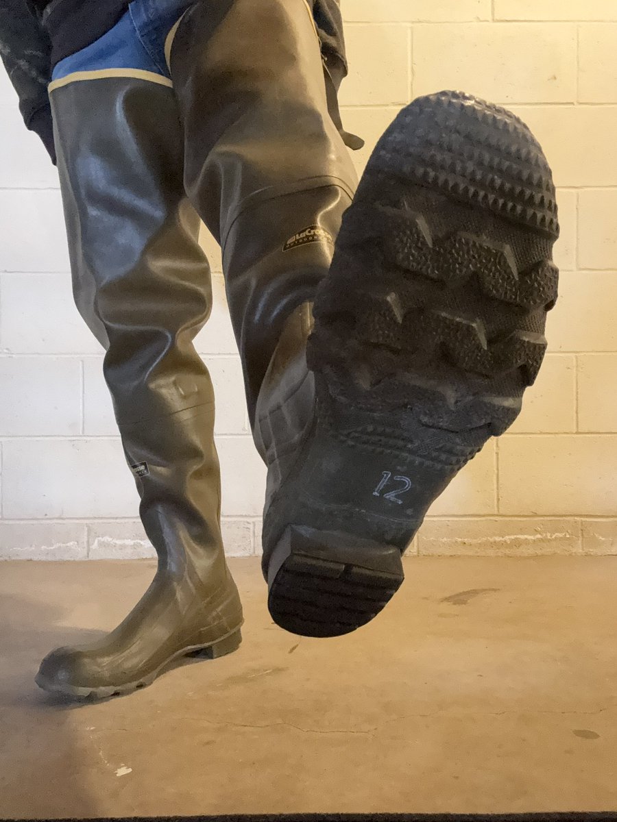 Bootstud tweet media