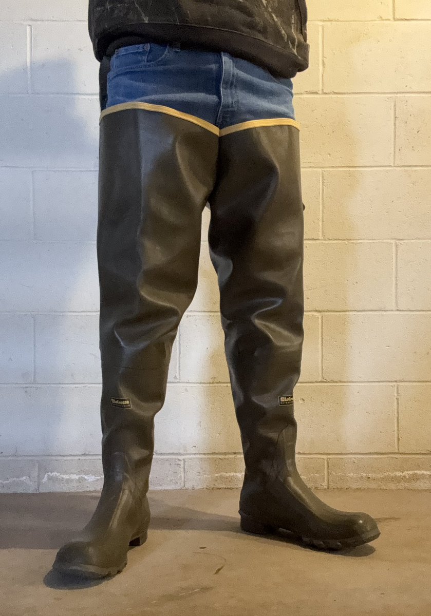 Bootstud tweet media