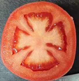 MarkoGD's tweet image. 今日はプログラミング 👨‍👨‍👧‍👧