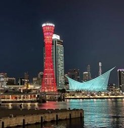 LikkleBunyip's tweet image. 今日は筋トレの日 🧛