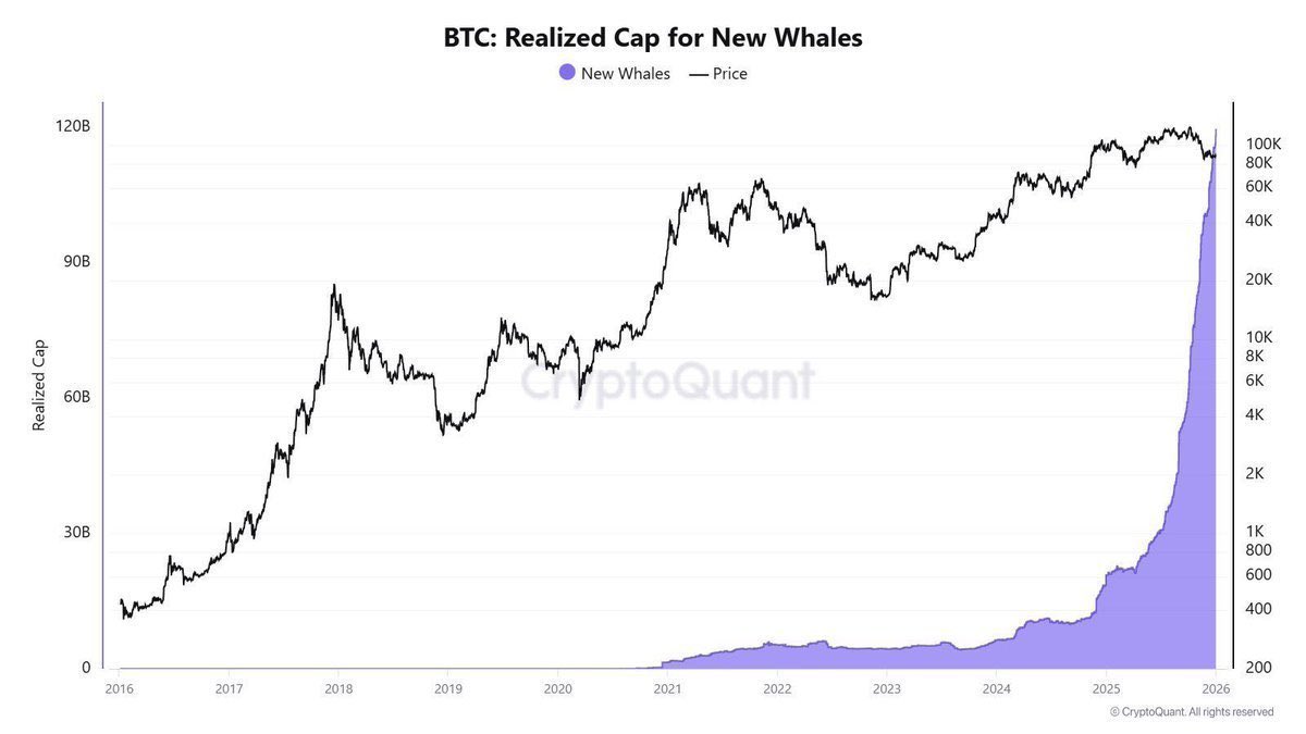 ntmf's tweet photo. Whales are buying Bitcoin for the long-term. https://t.co/FSkiRYZtpc
