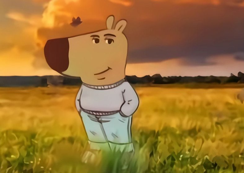 SOL COPS tweet media