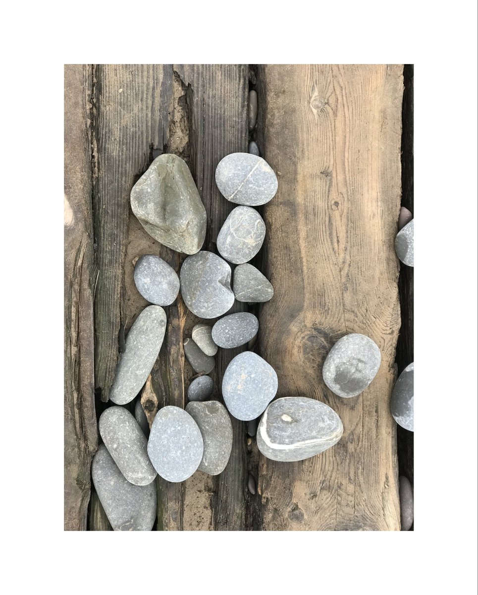 thisdevon tweet media