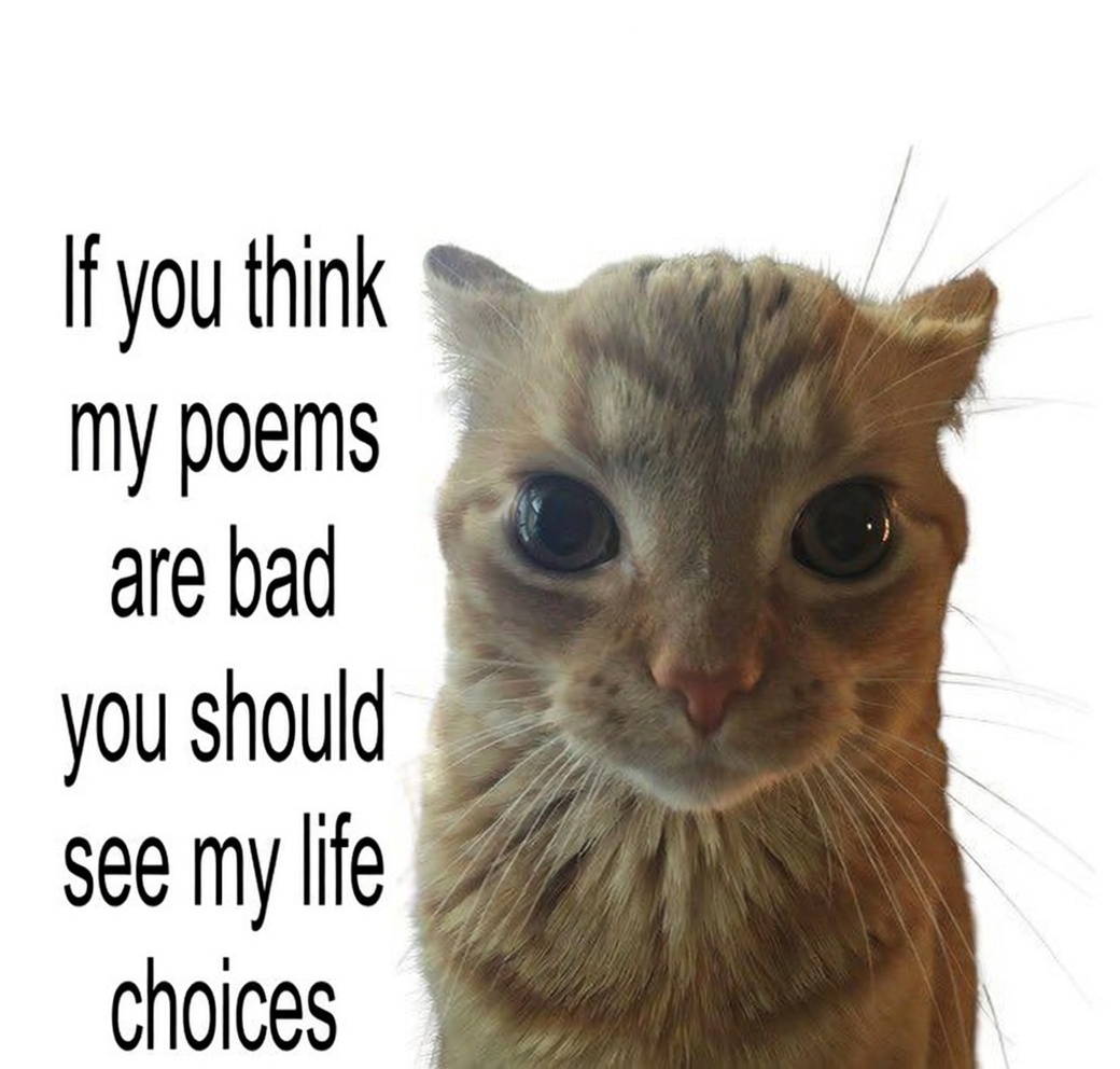 The Blood Pudding tweet media