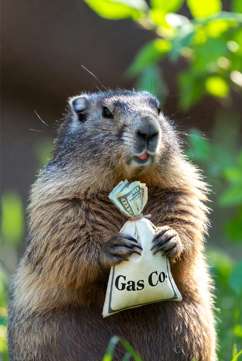 BigLouStone's tweet photo. Follow the money. https://t.co/zVvzIGkKvB