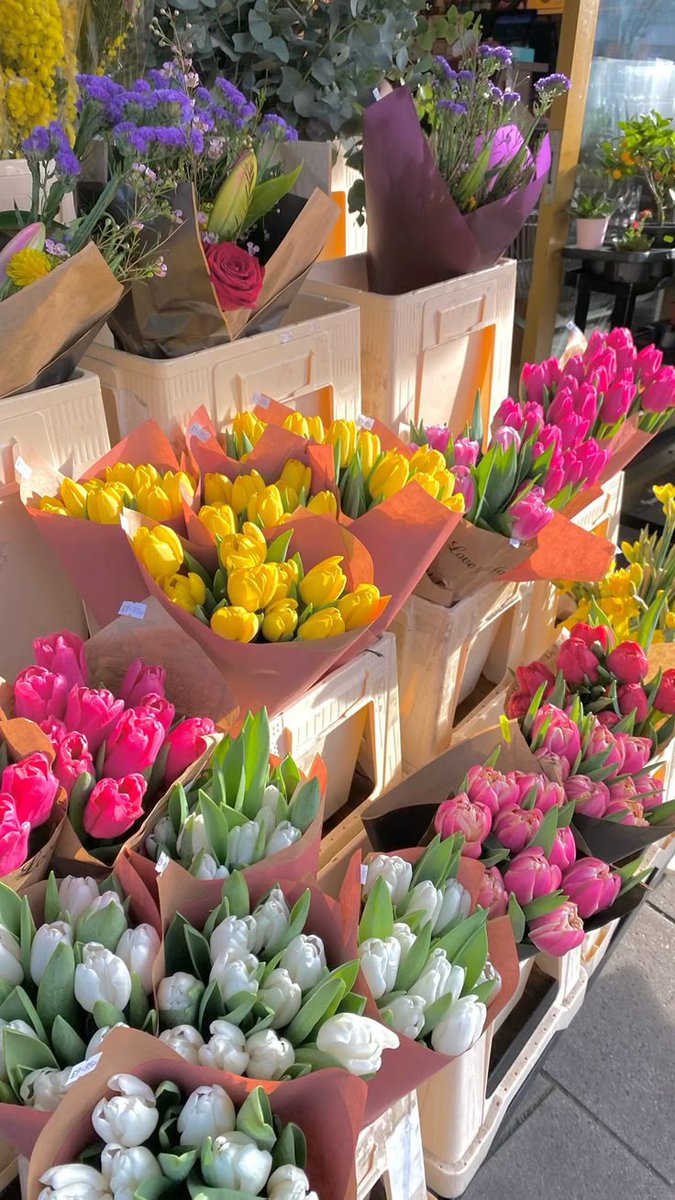 tutututututulip's tweet photo. https://t.co/WYYk3Cbd3j