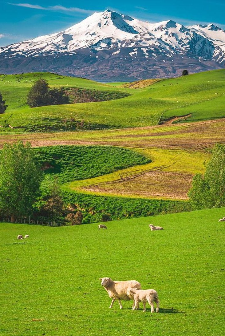 Samone415's tweet image. 船を遊ぶ 🍰