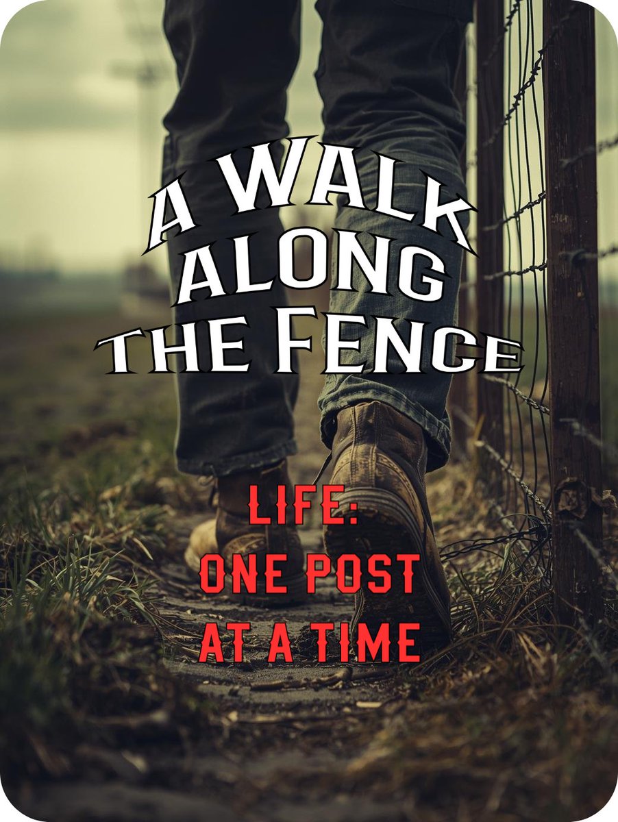 Tyler Francko - Querying Author and Educator tweet media