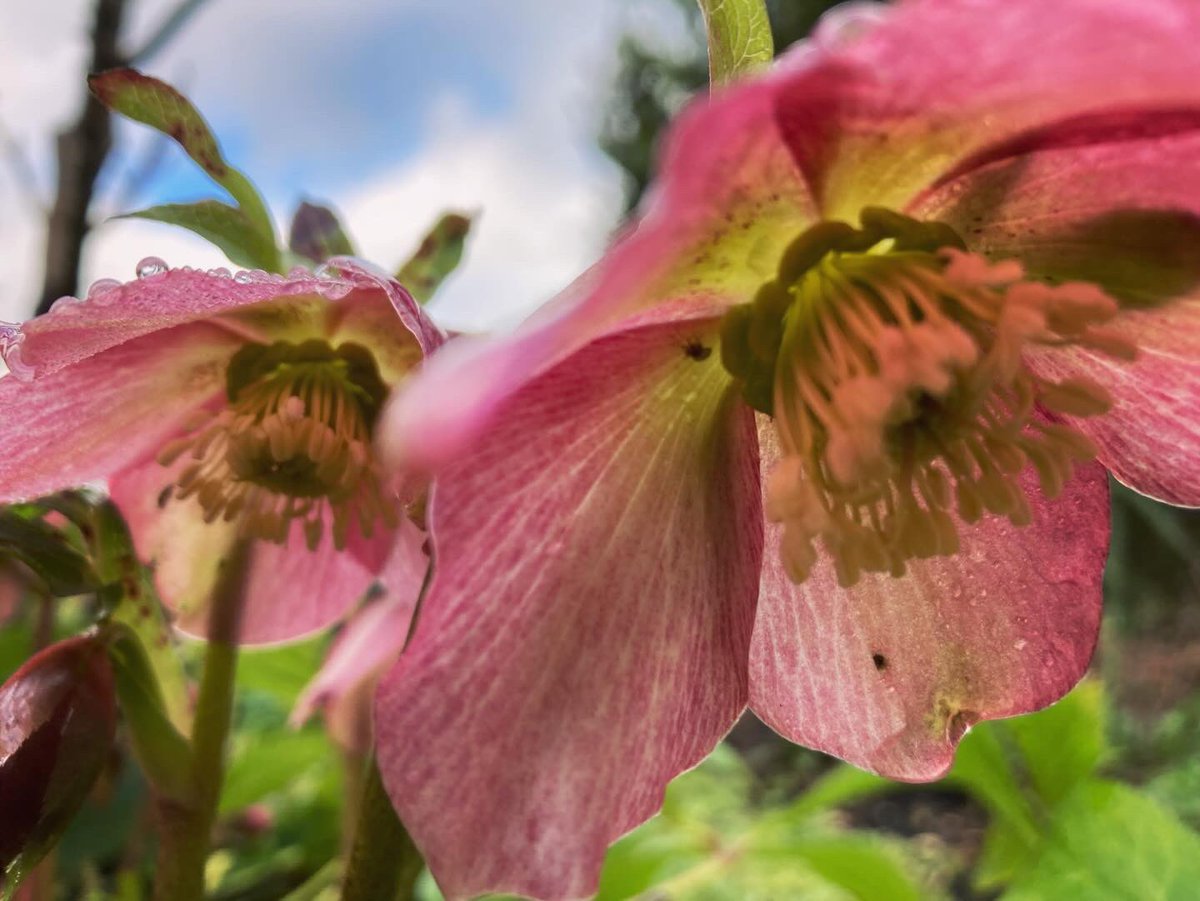 Claire Maycock tweet media