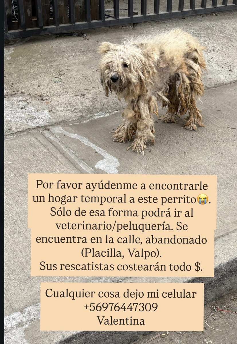 Valentina• tweet media