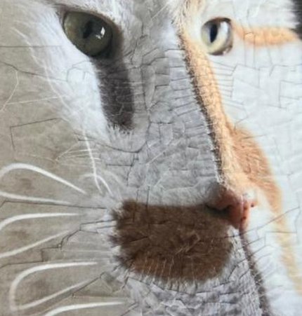 Fuse_Wik's tweet image. 酸っぱい海 🤢