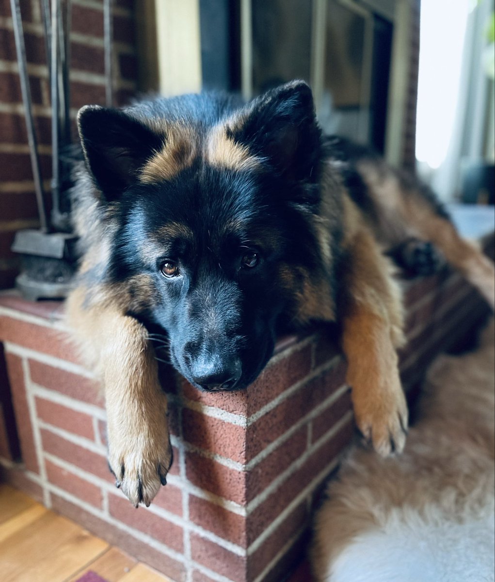 Heather Haddad tweet media