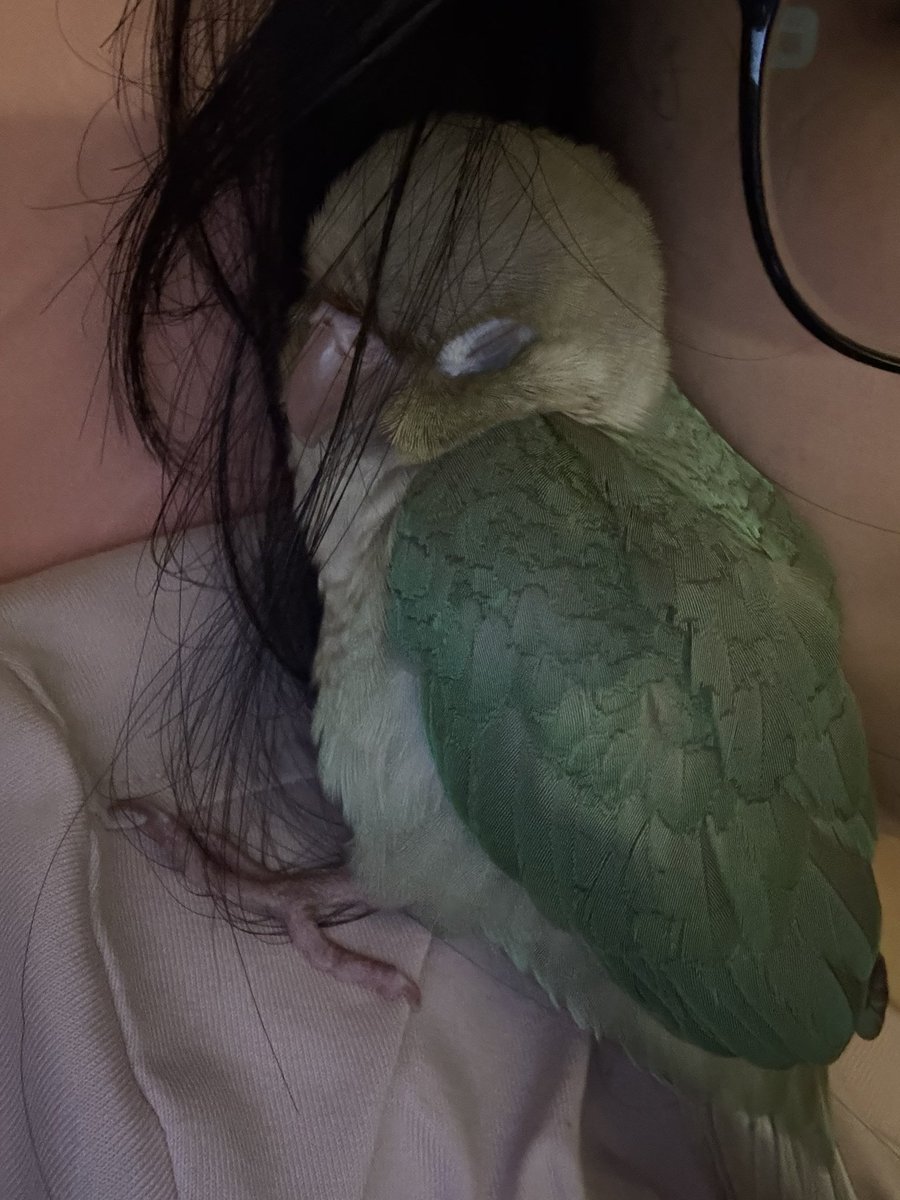 되게 보송보송하고 아기냄새같은게 난다