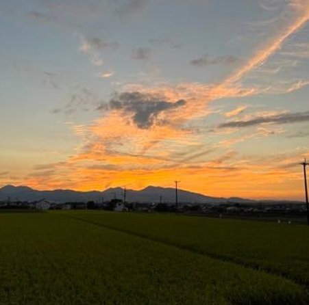 Rob_Ten75's tweet image. 15時に朝食 🍵