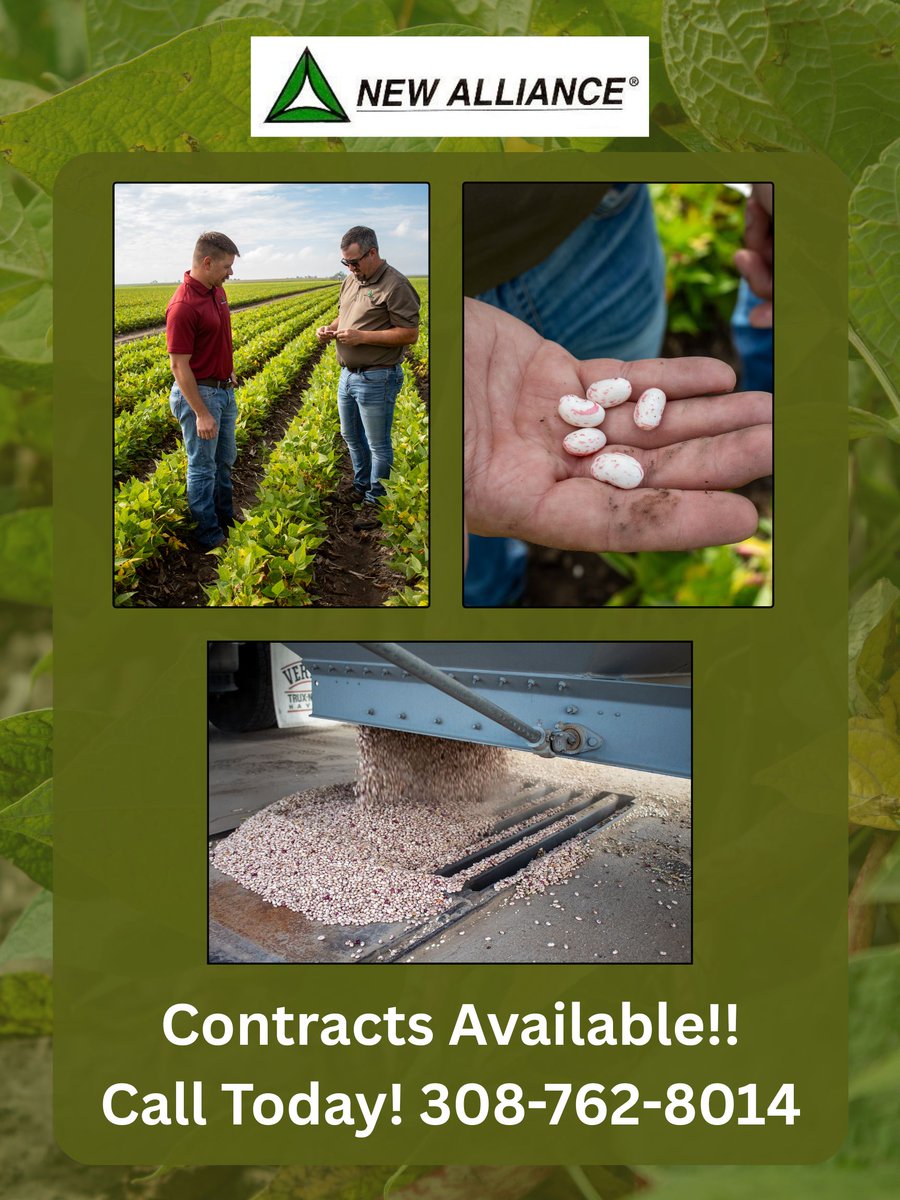 🚨 New Alliance Bean Contracts Available — This Week Only!
Call or stop in to see your local originators today.
📍 Alliance: 308-762-8014
📍 Gering: 308-436-5849
📍 Bridgeport: 308-262-1222