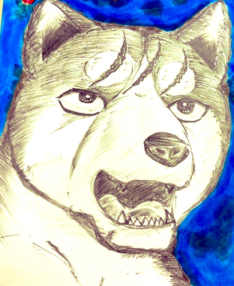 🌌高橋よしひろ先生新連載🌌銀牙伝説レクイエム🌌 (@katukatu210) on X