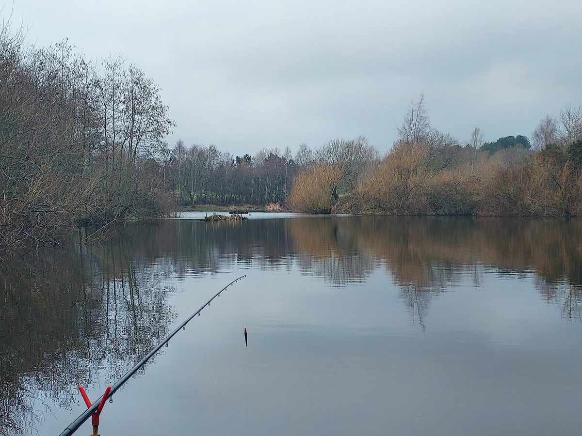 Fishin'impossible tweet media