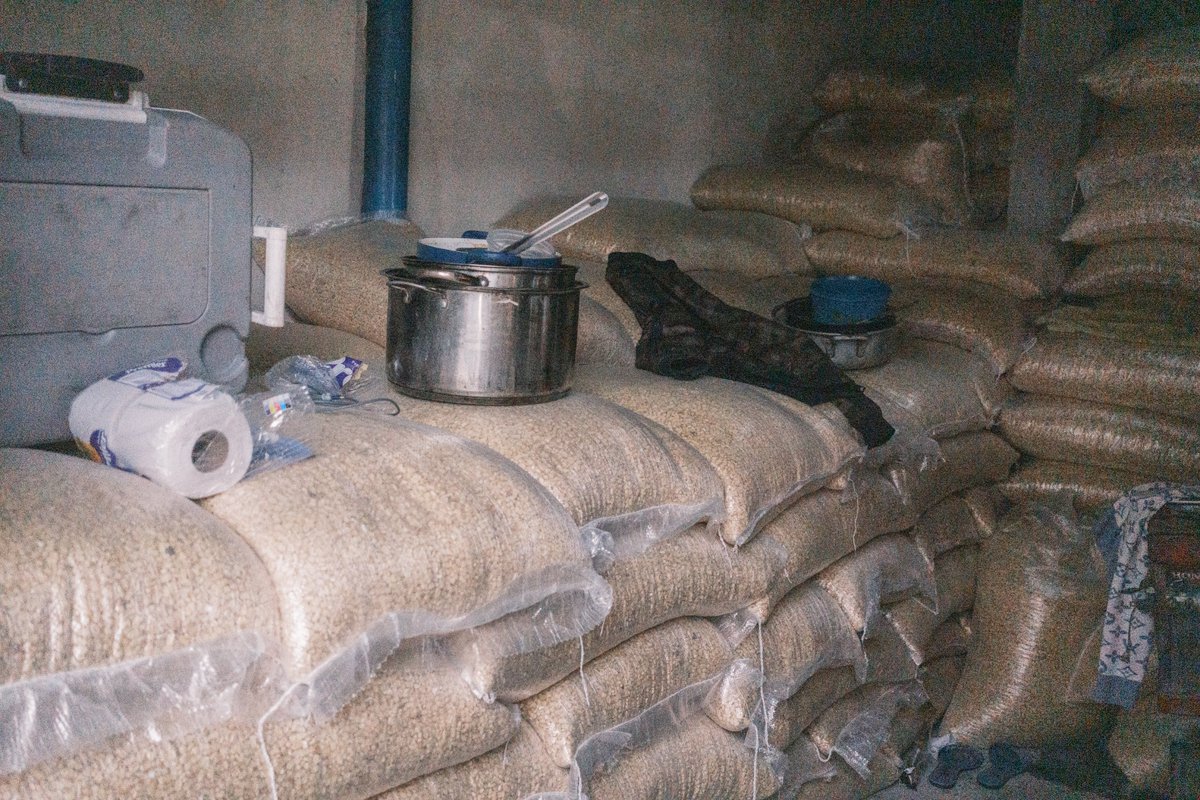 Bryan MacDiarmid tweet media