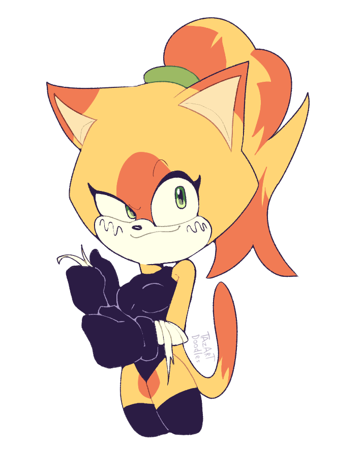 Nisshoku the cat🌅✨ tweet media