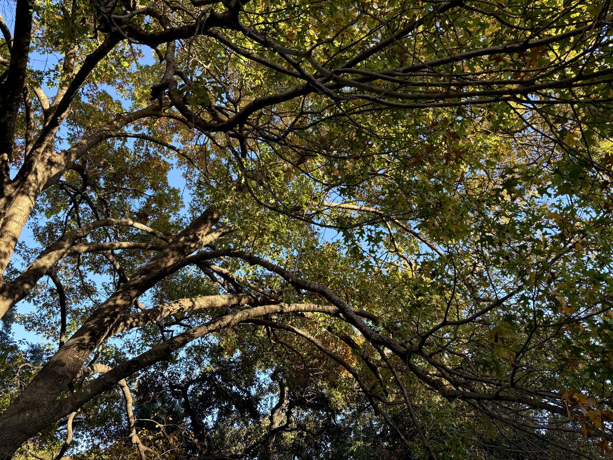 i love you because you are you