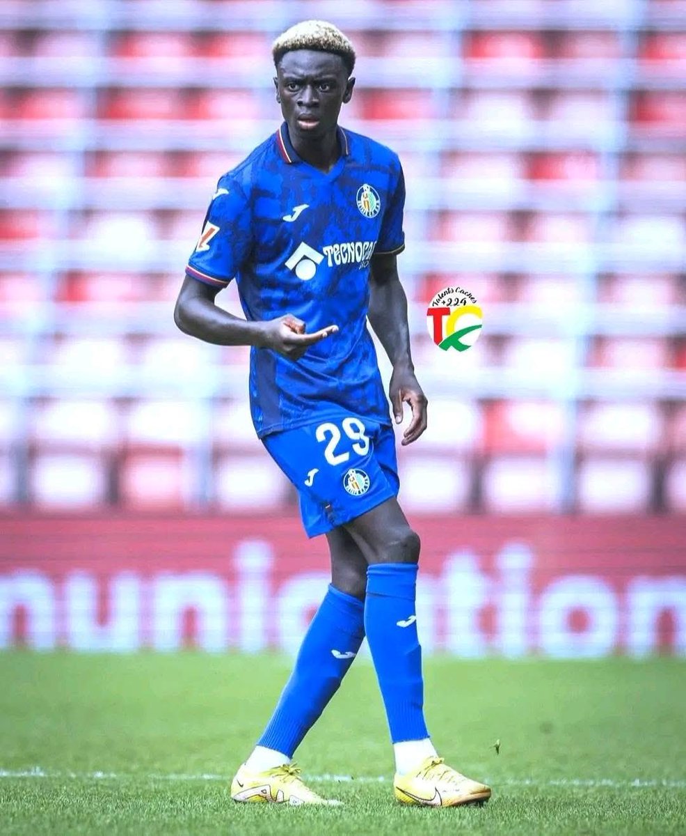 Sacha Tavolieri tweet media