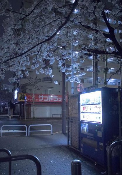 FnSaunders's tweet image. 先輩が大切 😴