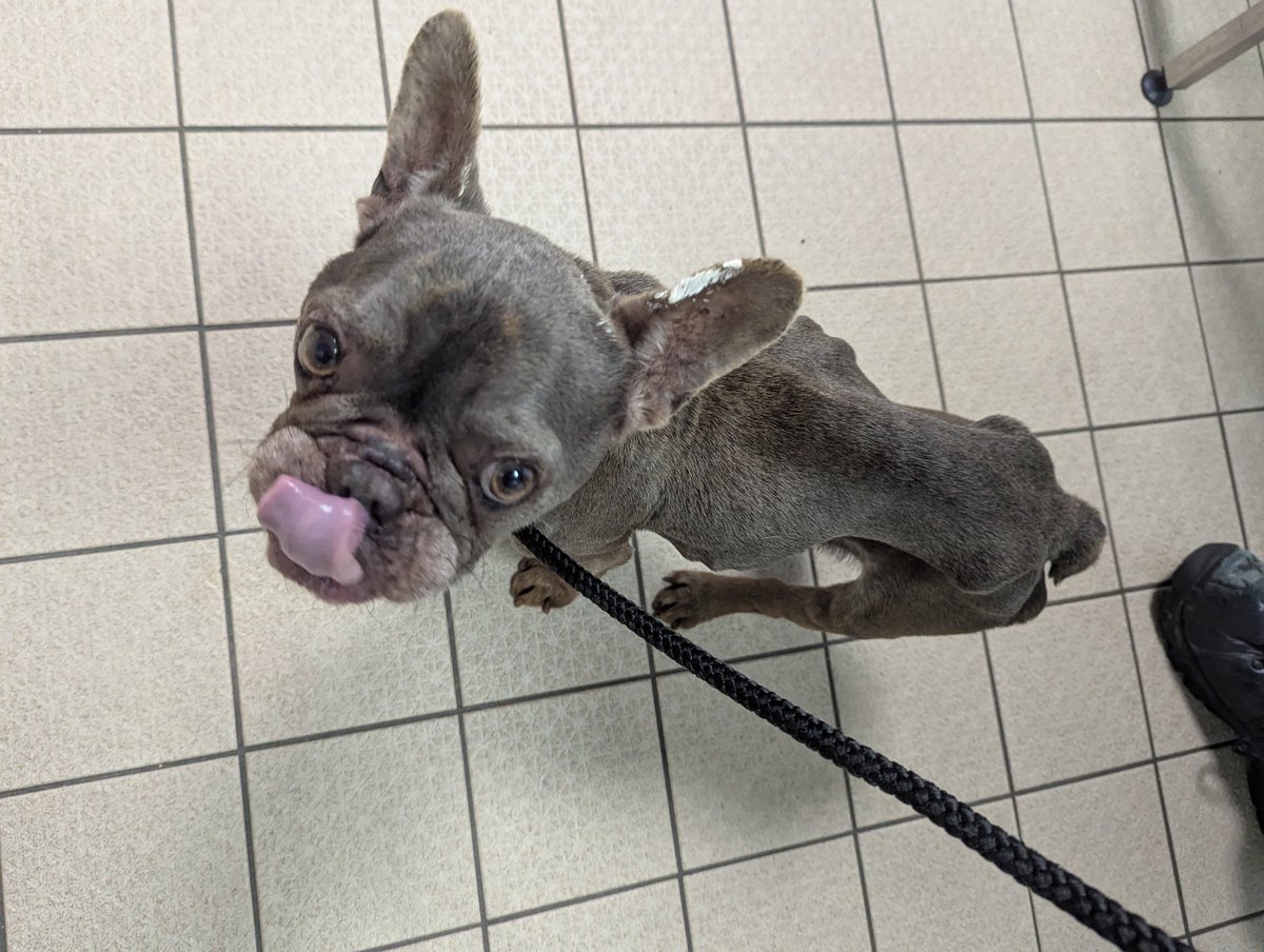 Anthony Joynes tweet media