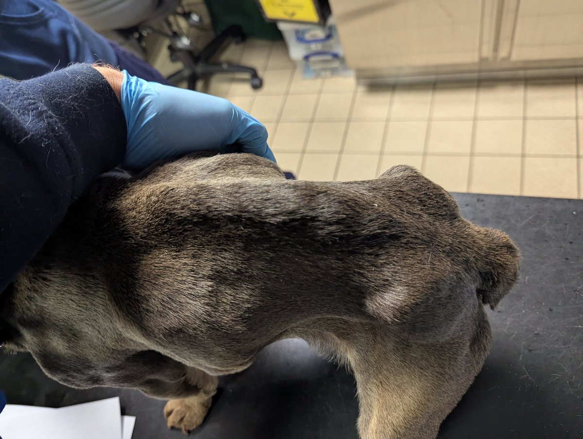 Anthony Joynes tweet media