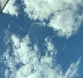 JadeSam's tweet image. 名前を学ぶ 🕷️