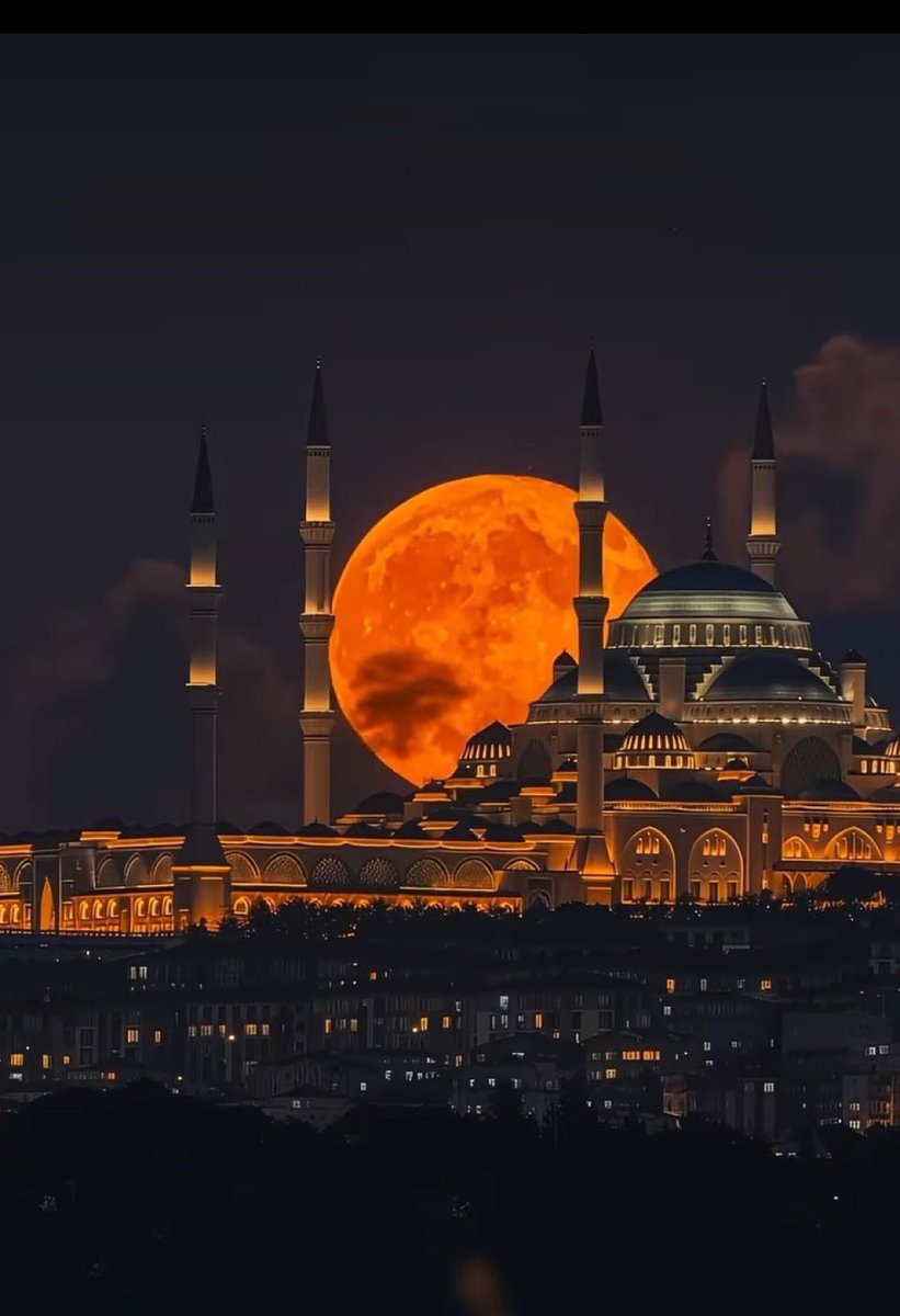 Yakup MOĞUL 🇹🇷 tweet media